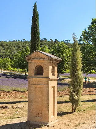 The estate’s grape varieties