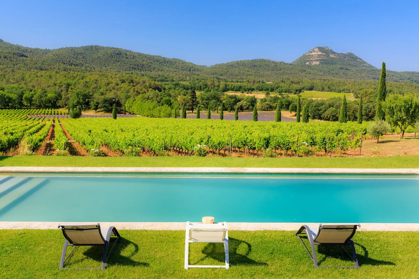 La Calisse’s pool facing the vines