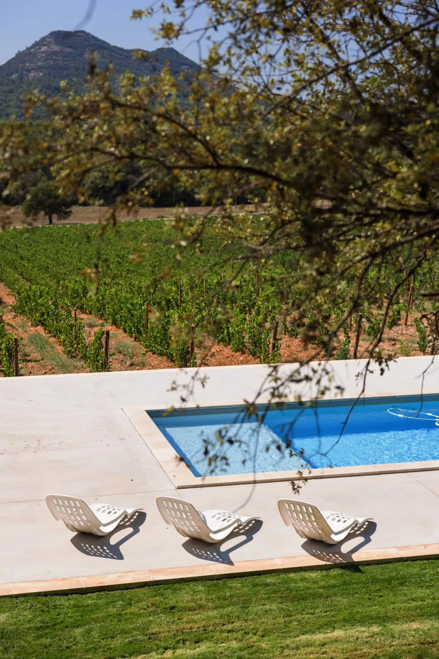 La Lauve’s pool, bordered by vines