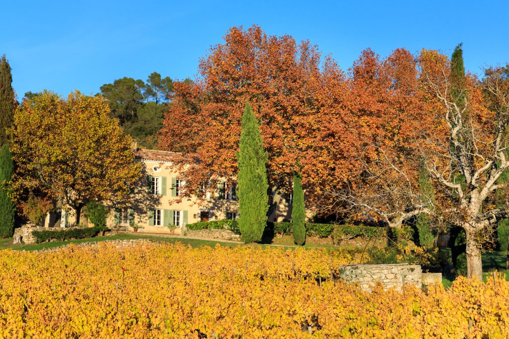 Vin rosé bio Provence