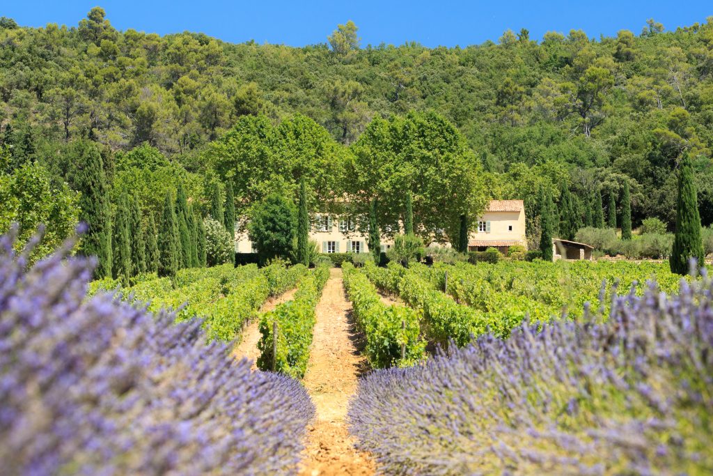 Château La Calisse propose vente directe vin de Provence