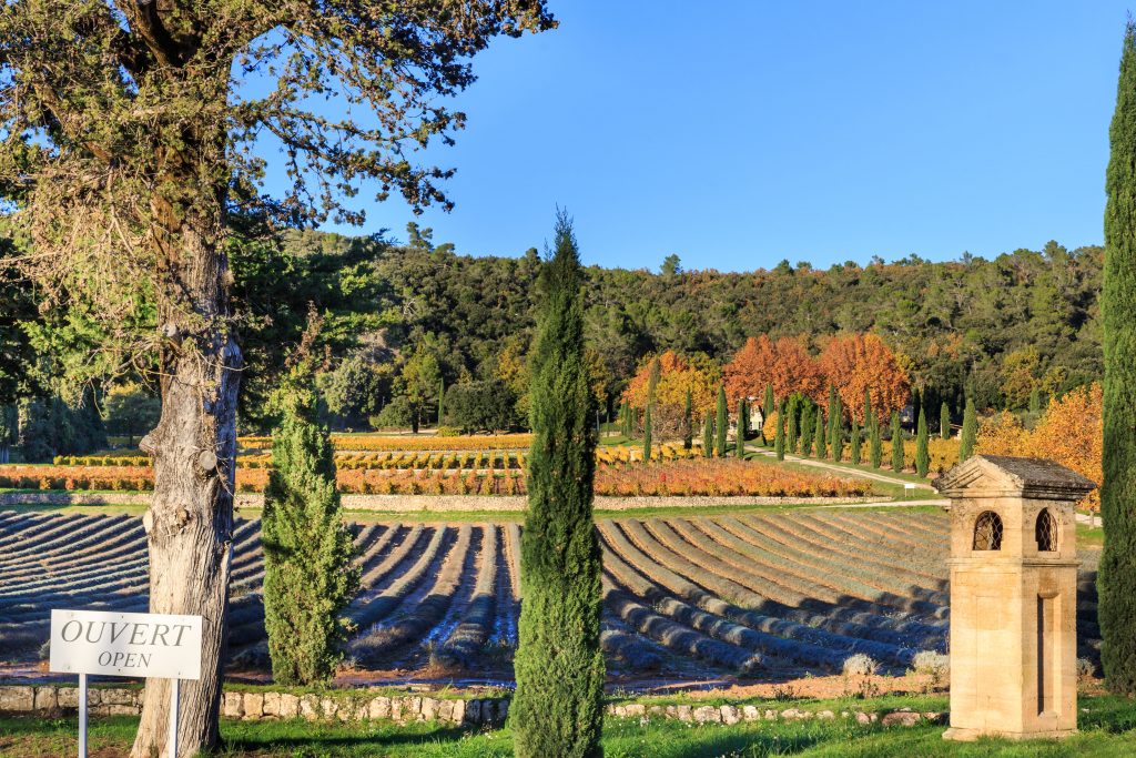 Provence wine gift box