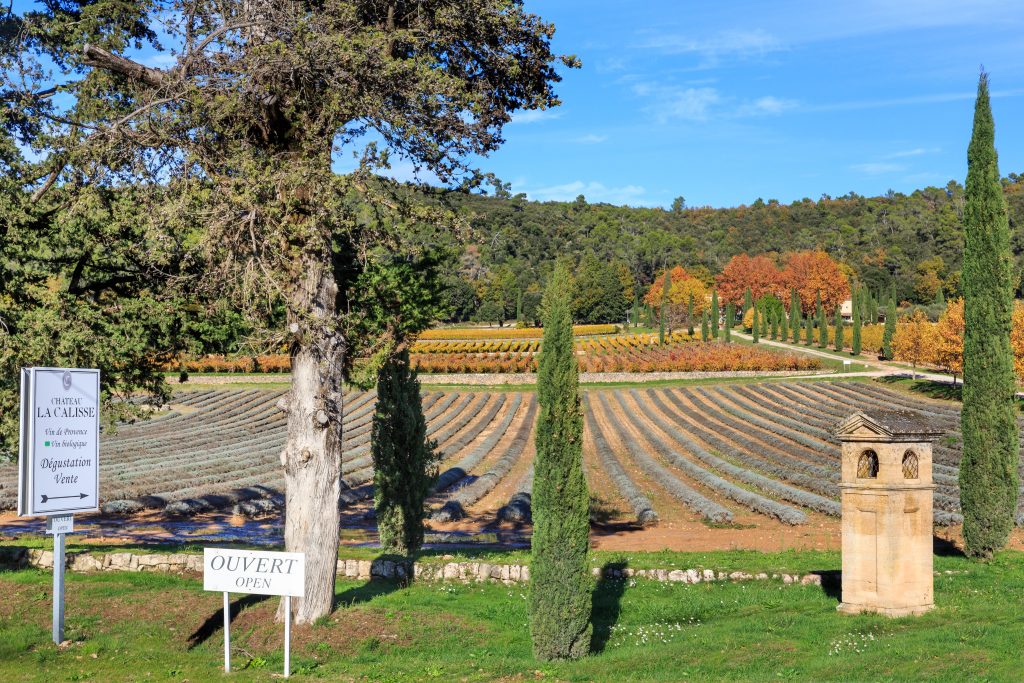 Visiter vignoble Provence