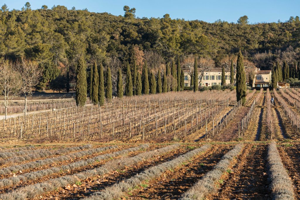 le meilleur vin blanc de Provence