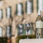 Quel est le meilleur vin blanc de Provence ?