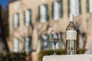 Quel est le meilleur vin blanc de Provence ?